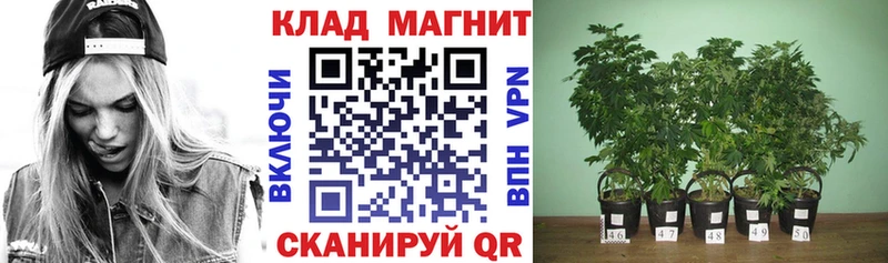 Псилоцибиновые грибы Краснодар
