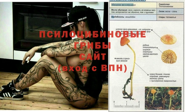 каннабис Алексин