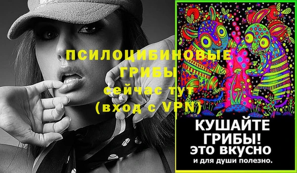 круглые Алзамай