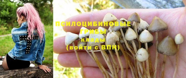 круглые Алзамай